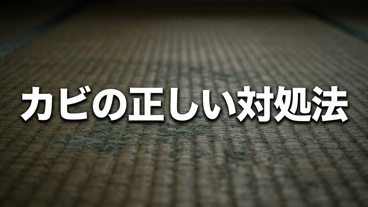 畳のカビ対策
