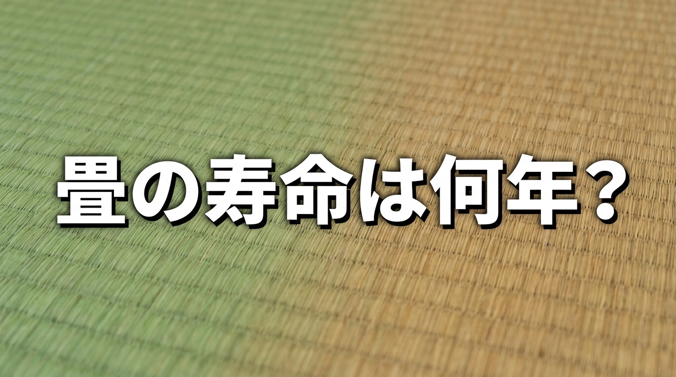 畳の寿命は何年？長持ちさせるお手入れ術