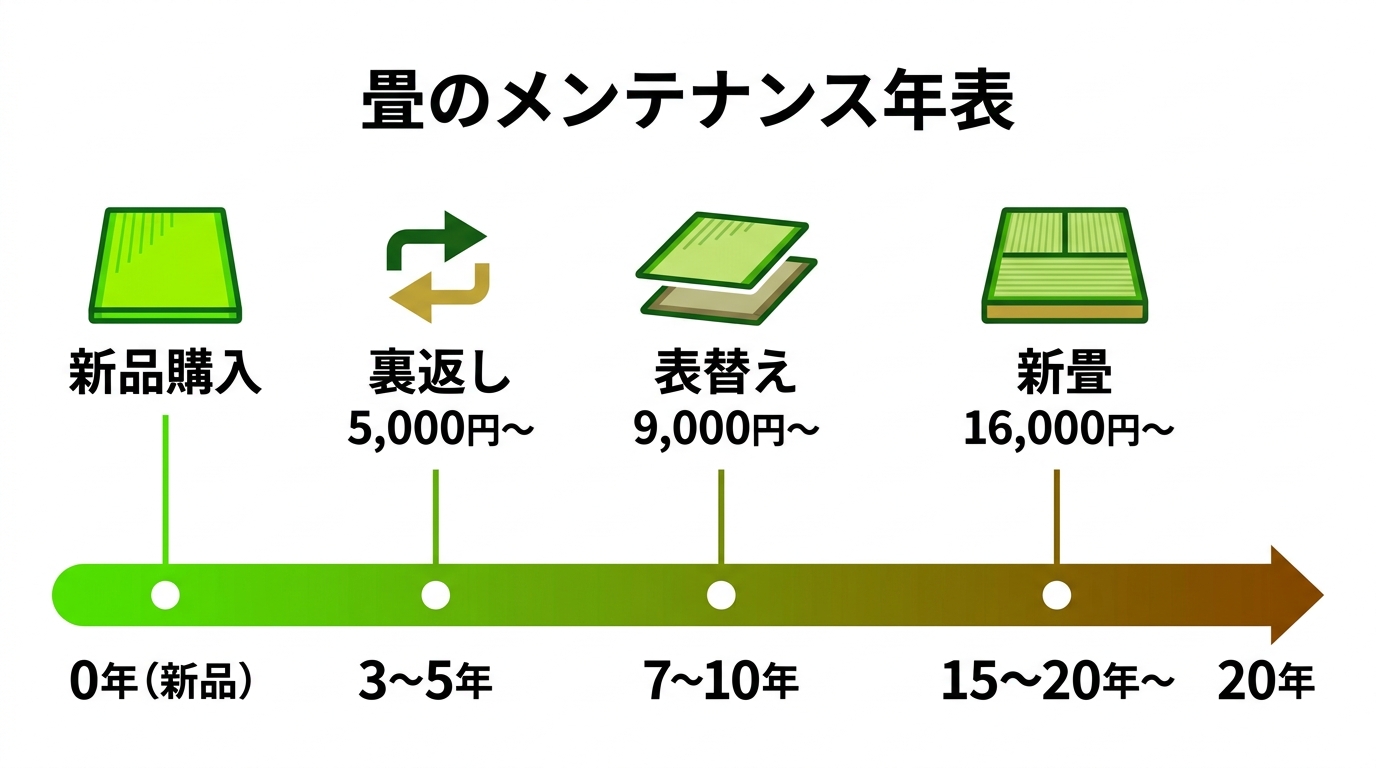 畳のメンテナンス年表