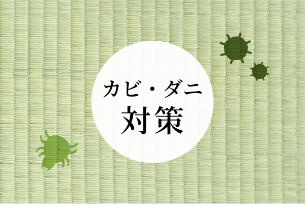 畳にカビが生えたら